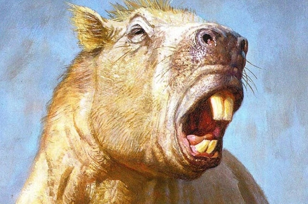 They Actually Existed! Top 10 Prehistoric Creatures with Adaptations That Defy Logic They Actually Existed! Top 10 Prehistoric Creatures with Adaptations That Defy Logic