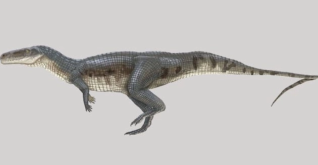 They Actually Existed! Top 10 Prehistoric Creatures with Adaptations That Defy Logic They Actually Existed! Top 10 Prehistoric Creatures with Adaptations That Defy Logic