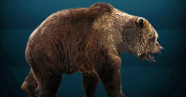 They Actually Existed! Top 10 Prehistoric Creatures with Adaptations That Defy Logic They Actually Existed! Top 10 Prehistoric Creatures with Adaptations That Defy Logic