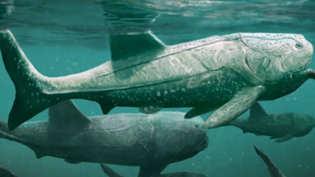 They Actually Existed! Top 10 Prehistoric Creatures with Adaptations That Defy Logic They Actually Existed! Top 10 Prehistoric Creatures with Adaptations That Defy Logic