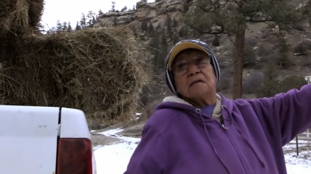 10 UFO Encounters That Left Even Experts Speechless — What Happened Next Is Unthinkable